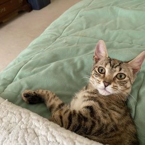 Meet your Posher, Tracy